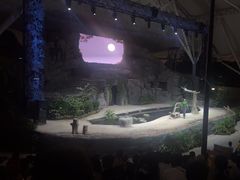 -夜间野生动物园