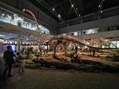 -自贡恐龙博物馆