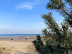 -渡海小渔村.老辈日照菜