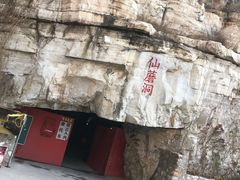 -仙蘑洞