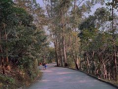 -小南山公园