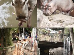 -长鹿旅游休博园
