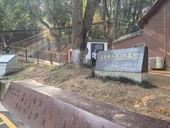 -马王堆汉墓遗址
