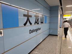 -大龙山(地铁站)