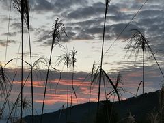 -梁野山景区