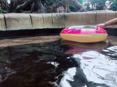 -悦隆庄温泉度假酒店