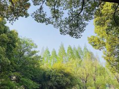 -新洲生态园