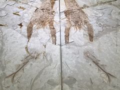 -衢州市博物馆