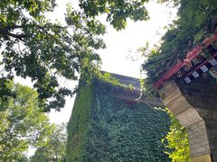 -泊星地咖啡馆(北京大学家园店)