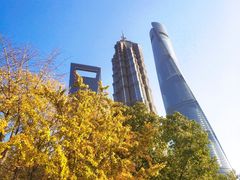 -陆家嘴中心绿地