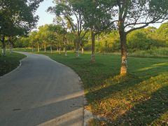 -上海都市菜园