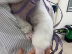 -佳雯宠物医院·皮肤科·内外科(春晓路分院)