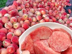 -老袁家蜜桃农场·阳山水蜜桃