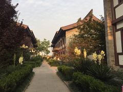 -法门文化景区