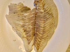 -迪拜帆船酒店海底餐厅