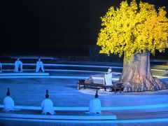 -鼎盛王朝康熙大典实景演出