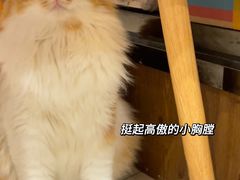 -氷冰凉刨冰甜品(北京路店)