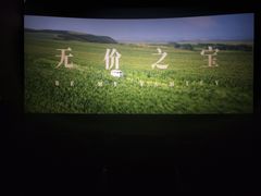 -纵横国际影城杜比全景声巨幕(天安云谷店)