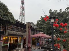 -楠柏弯休闲山庄(梨花溪店)