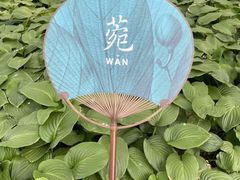 -玲珑塔公园