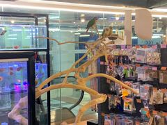 -宠物世家(仲盛世界商城店)