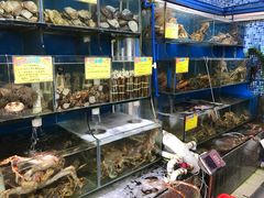 -蚝专家(北滘店)