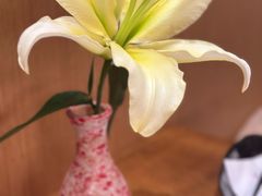 -捌川(武汉天地壹方购物中心店)