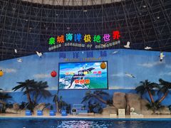 -泉城欧乐堡海洋极地世界