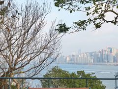 -讯号山花园