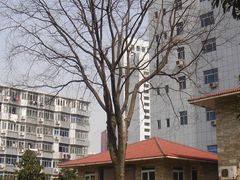 -常州古运河南大街文化旅游区-人民公园