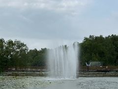 -大湾区中央湿地公园