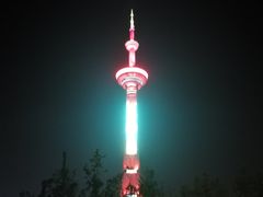 -成都娃娃花园餐厅 (南艺旗舰店)