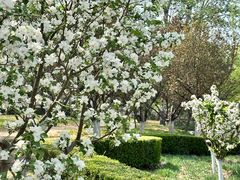 -元大都城垣遗址公园