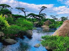 -罗红摄影艺术馆