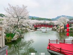 -武汉大学-樱园