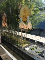 -爱儿美儿童摄影(朝阳公园店)