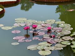 -国家植物园南园