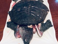 甲鱼-新招鲜(桃浦路店)