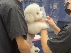 -FAELING PETS美天灵宠物(富力广场店)