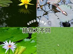 -国家植物园南园