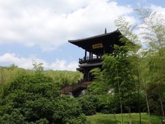 -大唐贡茶院