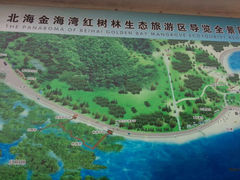 android_upload_pic-北海金海湾红树林生态旅游区