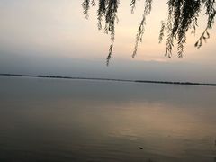 -漕湖湿地公园