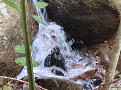 -海南热带雨林国家公园吊罗山景区