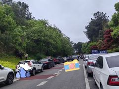 -铁山坪森林公园