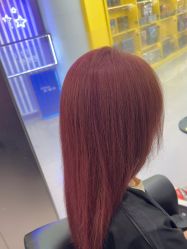 -东方麒麟·潘多拉SALON