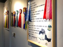 -猫十亿·布偶金渐层·曼基康矮脚猫舍(青年路店)