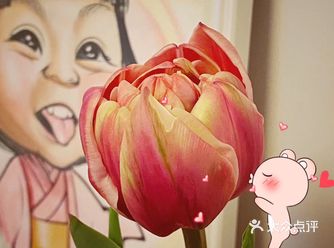 #非专业厨子的不知道第几天营业# 明天计划烧个毛血旺