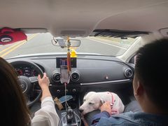 -云漫湖生态度假公园