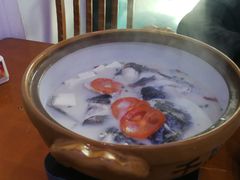 千岛湖浓汤鱼头-全乐鱼馆·淳牌有机鱼直营店